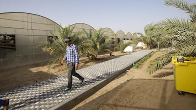 Farming at Al Khatim in Abu Dhabi has become part of Founder Sheikh Zayed’s legacy for the nation. Christopher Pike / The National