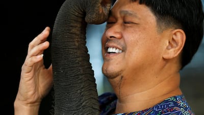 Doctor Padet Siridumrong plays with his patient, two-and-a-half year-old Thai elephant Fah Jam, crippled by wire snares in 2017, before handing her over to Thai national park after two years of treatment in Nong Nooch Tropical Garden in Pattaya, Thailand. Reuters
