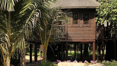 There's a distinctly tropical vibe thanks to the vegetation and wooden buildings throughout the park. Courtesy Kevin Hackett