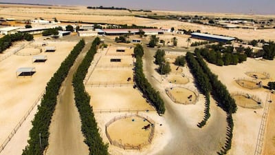 The working ranch offers a glimpse of rural life