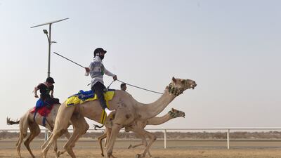 More than 56 million Saudi riyals ($14.9m) in prize money is up for grabs.