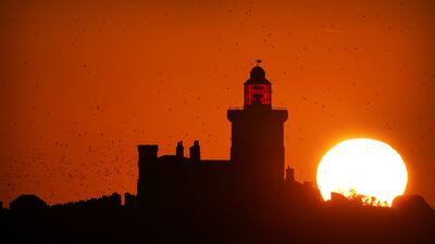 The sun rises over Coquet Island on Thursday. The island sits 1.2 km off the Northumberland coast near Amble, and at this time of year becomes home to more than 35,000 sea birds including puffins and terns and home to a large amount of seals. PA