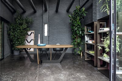Plants can help purify the home. Photo: Chattels & More