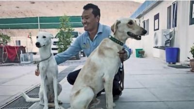 Abbey, left, and Silver, Saluki mixes, get ready for adoption in Canada.