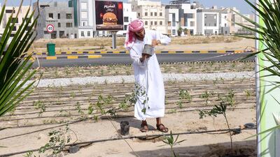 Sidr Nature Reserve founder Obaid Al Shemmari said the initiative aims to turn Mesayel into a model area