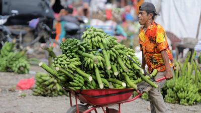 A man moves bananas at Lambaro market in Aceh, Indonesia. The country is racing to secure vaccines as its coronavirus outbreak grows. EPA