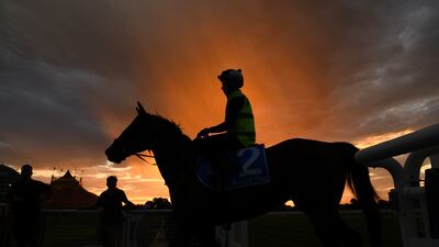 Patrick Moloney riding Lofty Arch after galloping at Caulfield Racecourse in Melbourne, Australia. Getty images