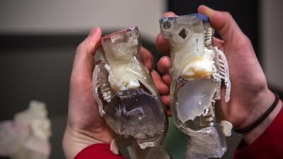 Researchers at the Sheikh Zayed Institute are working with Emirati colleagues in the UAE on some innovations that are particularly aimed at the particular needs of the country. They are close to finalising a facial recognition device that can be attached to a smart phone and be used to detect genetic issues in children.