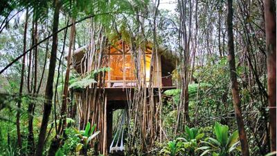 10. This secluded treehouse in Hawaii's Fern Forest is located on the outskirts of the Big Island's Volcanoes National Park and can be reached via the red volcanic road.