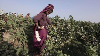 Laali, 11, holds a bloom of cotton plucked from a plant while working with her family in a field in Meeran Pur village, under conditions some critics have called exploitive. Akhtar Soomro / REUTERS