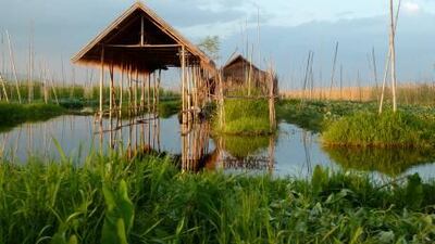 Floating vegetable gardens on Inle Lake, Burma. November 2010. Photo credit: Gill Charlton.