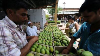 The Mango Festival in New Delhi is showcasing about 500 varieties of mangoes, as well as processed foods containing mangoes, such as chutney, mango juice, jelly, aam papad and jam. Prakash Singh / AFP Photo