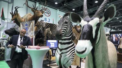 Stuffed animals on display at the BuyTaxidermy stand. Pawan Singh / The National