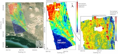 Radar technology has been used to identify previously undiscovered structures at the ancient site. Photo: Dr Diana Francis.