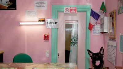What at first appears to be an exercise in green and shocking pink reveals a more nuanced aspect, with the French and Algerian flags sitting side by side in the corner of this hotel reception area in the Goutte d'Or.