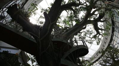 Inside view of the Indoor Green Planet Dubai at the City Walk area in Dubai.