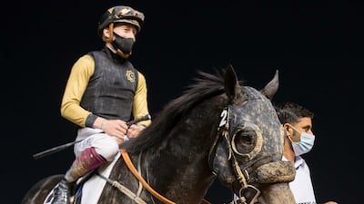 Nathan Crosse atop Twelfthofneverland is led into the paddock after winning the fifth race at Meydan. Courtesy Erika Rasmussen / Dubai Racing Club