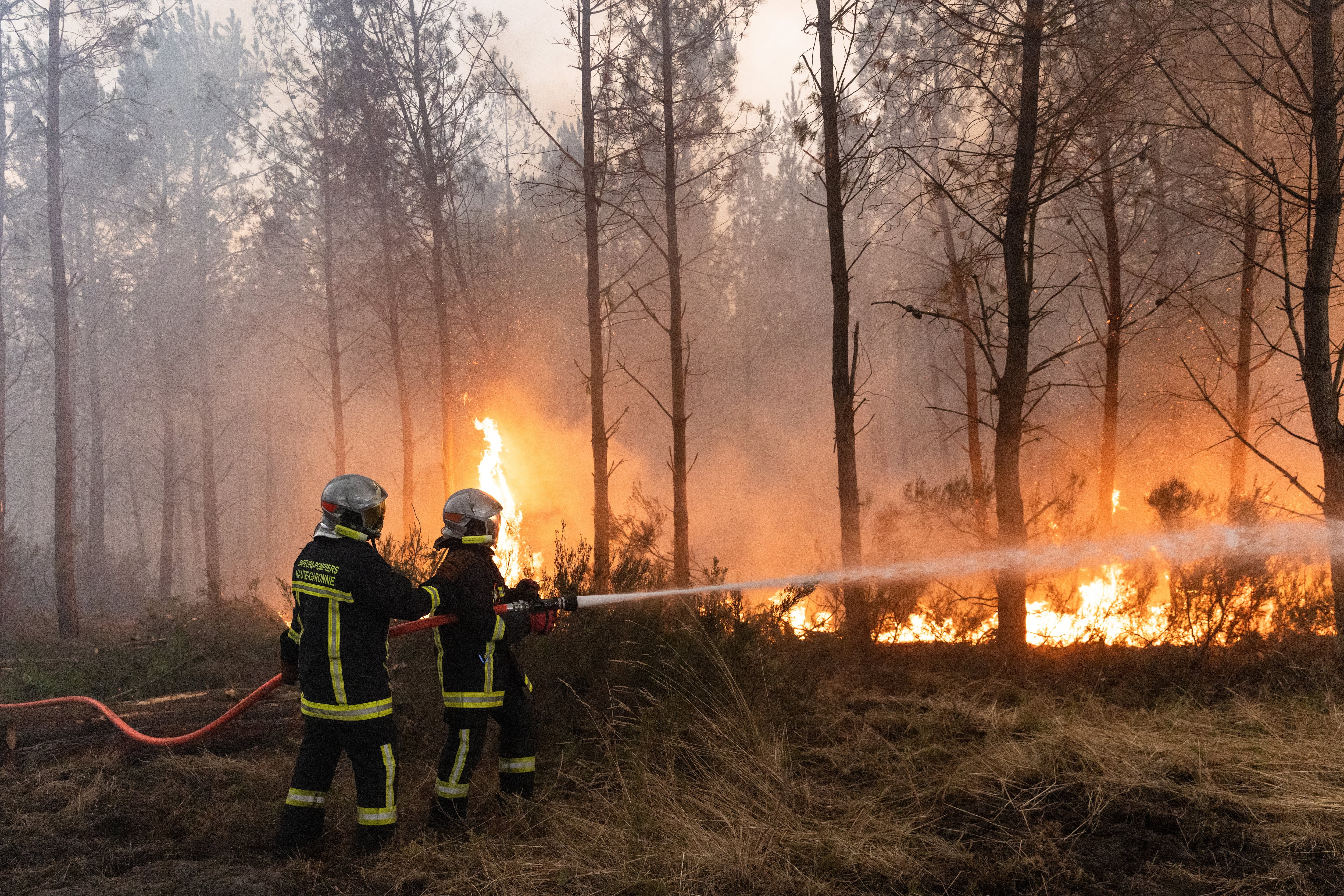 Image linked from the original feed: 'Out of control' French forest fires threaten Bordeaux