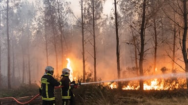 The fires near Bordeaux in south-western France have already burnt through 42,000 hectares. EPA