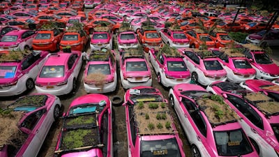 Miniature gardens are planted on the rooftops of unused taxis parked in Bangkok, Thailand, Thursday, Sept. 16, 2021. Taxi fleets in Thailand are giving new meaning to the term "rooftop garden," as they utilize the roofs of cabs idled by the coronavirus crisis to serve as small vegetable plots and raise awareness about the plight of out of work drivers. (AP Photo / Sakchai Lalit)
