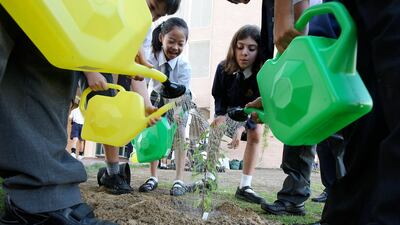 A call to act on what author Nelson Henderson's line: 'The true meaning of life is to plant trees, under whose shade you do not expect to sit.' Pawan Singh / The National