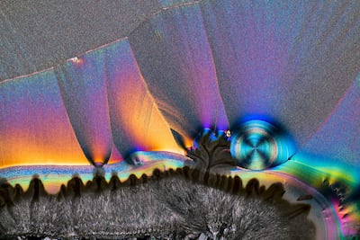 Solar Veins by Rashed Alsumaiti. Photo: Rashed Alsumaiti / Xposure Sharjah