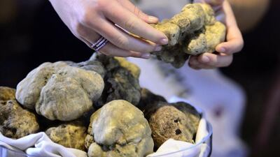 Alba, Italy: A delicious treasure hunt with the promise of a feast to follow, the Alba International Truffle Fair fulfils the gourmet traveller’s quest for the “diamond of the kitchen” — the white truffle. At €2,000 (Dh9,648) per pound, the highly sought-after fruiting fungus is most abundant in Alba, a Piedmontese town in northern Italy. The annual festival attracts chefs and foodies from around the world who visit the specially erected truffle marketplace to buy truffle oil, butter, creams, jars of truffle-infused sauces and even creamy ice-cream served with finely grated white truffle. Other events include concerts, donkey races, white-truffle walks and a truffle auction. Olivier Morin / AFP photo