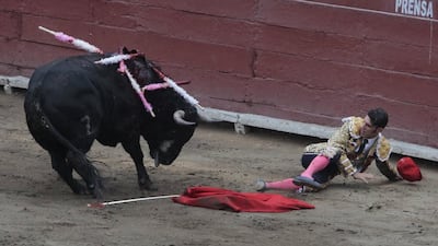 Spanish bullfighter Alejandro Talavante reacts after been tackled by a bull at Peru’s Plaza de Acho bullring in Lima. Guadalupe Pardo / Reuters