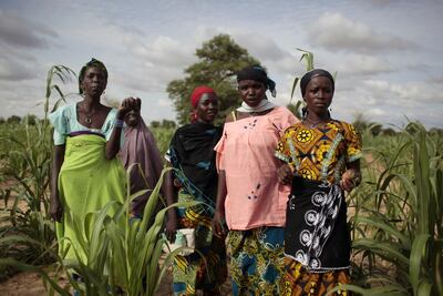 Young girls stand in a field of millet outside the remote village of Hawkantaki, Niger, July 19, 2012. A group of international aid organisations said Tuesday April 5, 2022 that West Africa is facing its worst food crisis in a decade due to increasing conflict, drought, flooding and the crisis in Ukraine that is affecting food prices and worsening an already disastrous situation. AP