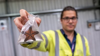 The centre, owned and operated by the City of London Corporation, can accommodate any animal species