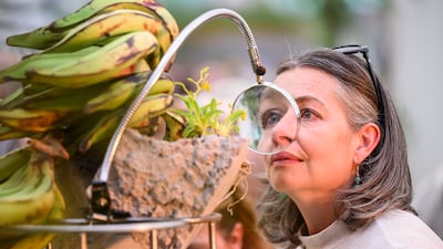 A visitor stops to look through a magnifying glass on the This Humid House installation by Tabula Rosa at the 2025 show