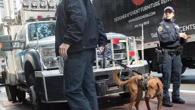 Emergency service personnel with a bomb sniffing dog work outside the building that houses New York Governor Andrew Cuomo's office after a report of a suspicious package. AP Photo / Mary Altaffer