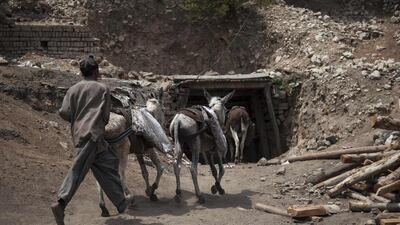 A young miner rushes his donkeys back into the mine.