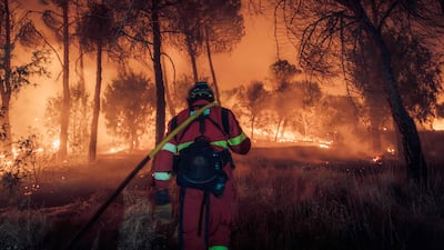 This handout photo released by Spain's Military Emergencies Unit (UME) shows UME personnel fighting a wildfire near Navas del Rey, 55 kilometers southwest of Madrid. Spain faces two crucial days to bring raging wildfires under control before weather conditions worsen, authorities said on July 27, 2026, though they were making some progress and planned to start returning evacuees to certain areas. The wildfires that broke out in forested areas around the Spanish capital at the height of the summer holidays have forced some 60,000 people to flee their homes, often with just minutes' notice, leaving pets and medicine behind. AFP