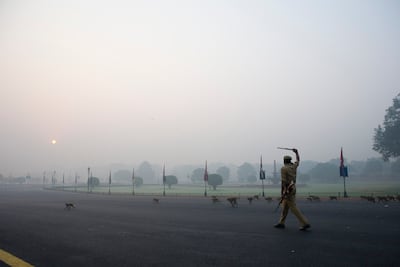 An armed policeman chases monkeys away on a hazy morning in New Delhi, India.
