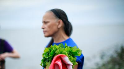 Sugar kelp harvested at the Shinnecock Kelp Farm in Shinnecock Bay. AFP