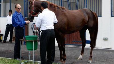 The South African Ernst Oertel ‘has fitted in perfectly well’, according to Salem Al Ketbi, general manager of the Al Asayl Stables.