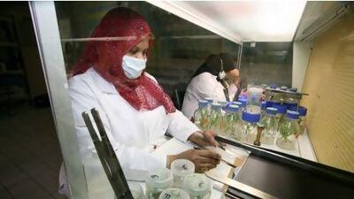 Dalia Hassan, a lab technician at the United Arab Emirates University in Al Ain, is the kind of graduate Abu Dhabi hopes to produce in the future. Randi Sokoloff / The National