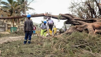 Public workers cut a fallen tree in Beira City, Beira Province, Mozambique. EPA