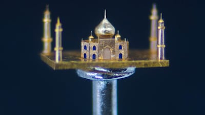 Taj Mahal Courtesy Willard Wigan