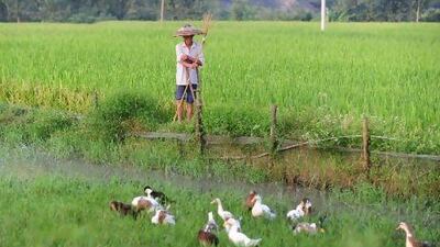 The economic miracle in cities such as Beijing and Shanghai seems to have missed the Chinese countryside. Frederic Brown / AFP