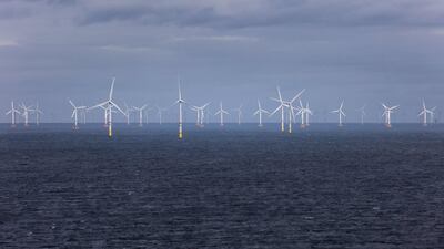 The UK prime minster urged his social media followers to add their signature to a climate change petition ahead of Cop26. AFP