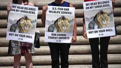 A protest in Washington demanding the US take action for the death of Cecil the lion. Mark Wilson / Getty Images / AFP