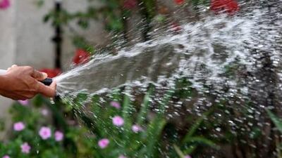 Giving plants more water than they need can make normally draught-tolerant plants overdependent on water or, worse, kill plants by waterlogging the roots and starving them of oxygen. Pawan Singh / The National