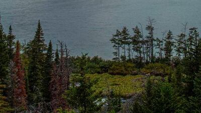 There seems to be nothing suspicious about this picture, yet Android users are saying it is causing their phones to crash. Univers Ice / Twitter