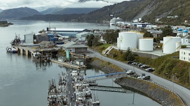 Fishing boats in Kodiak, Alaska, on September 13. Bloomberg