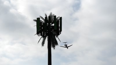 A cellular tower disguised as a palm tree at Los Angeles International Airport. Planes most susceptible to interference – smaller, so-called regional airline planes – must be retrofitted with filters or new altimeters by the end of this year, the FAA has said. AFP