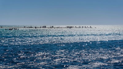 Islamic State, which has a presence in the North Sinai region, claimed responsibility