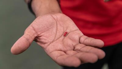 A small piece of cocker spaniel Kevin's chew toy is used to train his sniffing technique for finding illegal substances