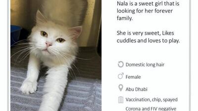 Courtesy Rescue of Abu Dhabi